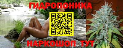 твердый Сланцы