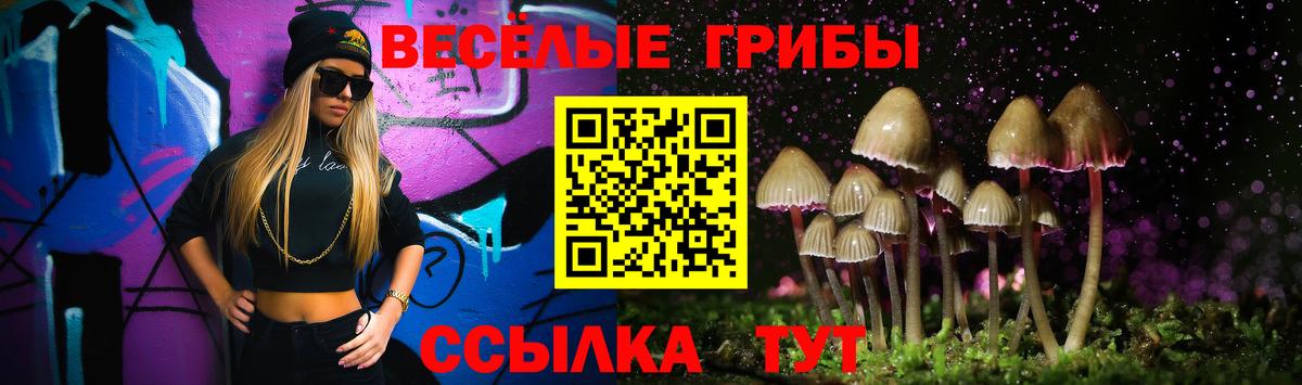 Псилоцибиновые грибы GOLDEN TEACHER  Вход с VPN  Сибай 