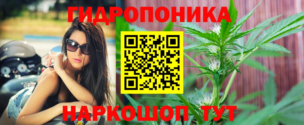 Сибай  Марихуана тримм  Марихуана план  Вход с VPN  Конопля план  Шишки марихуана Amnesia 